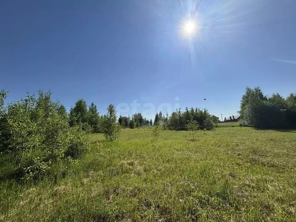 Участок в Тульская область, Тула городской округ, с. Частое  (16.0 ... - Фото 2