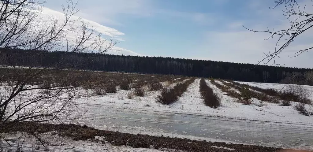 Участок в Алтайский край, Бийск ул. Мало-Угреневская, 1/1 (200.0 сот.) - Фото 1