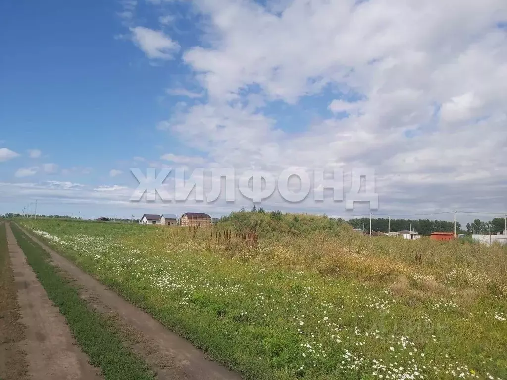 Участок в Новосибирская область, Новосибирский район, Морской ... - Фото 1