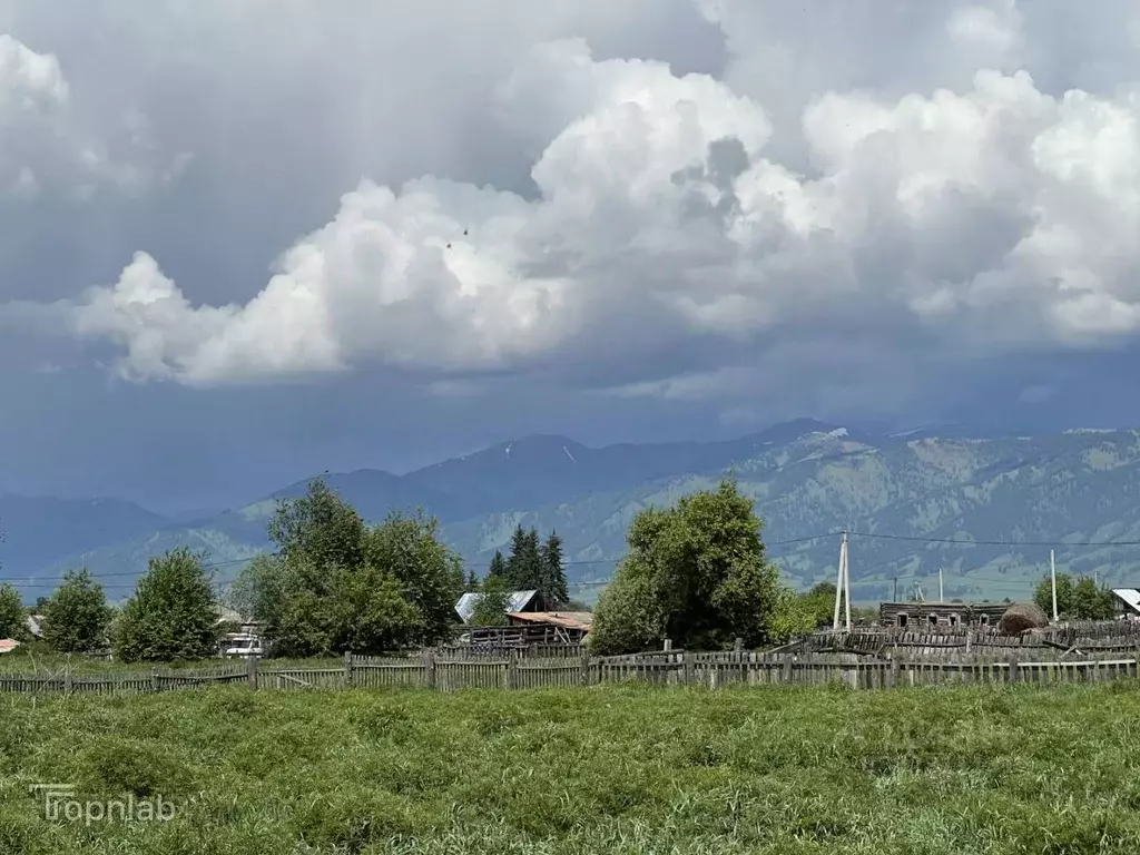 Участок в Алтай, Усть-Коксинский район, с. Горбуново  (56.5 сот.) - Фото 2