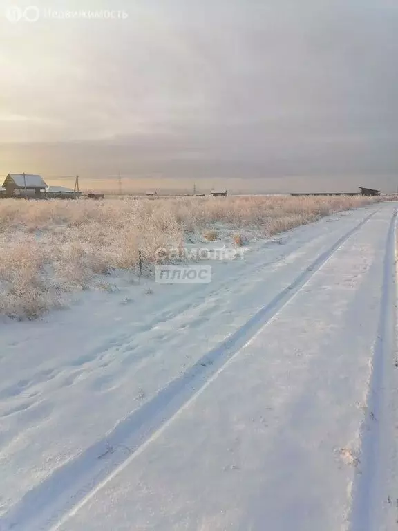 Участок в Иркутский муниципальный округ, село Мамоны (10 м) - Фото 1