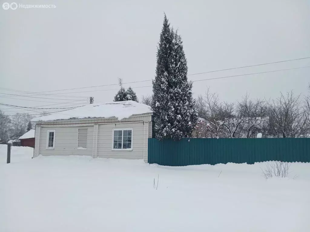 Дом в Егорьевск, улица Софьи Перовской, 34 (40.5 м) - Фото 2