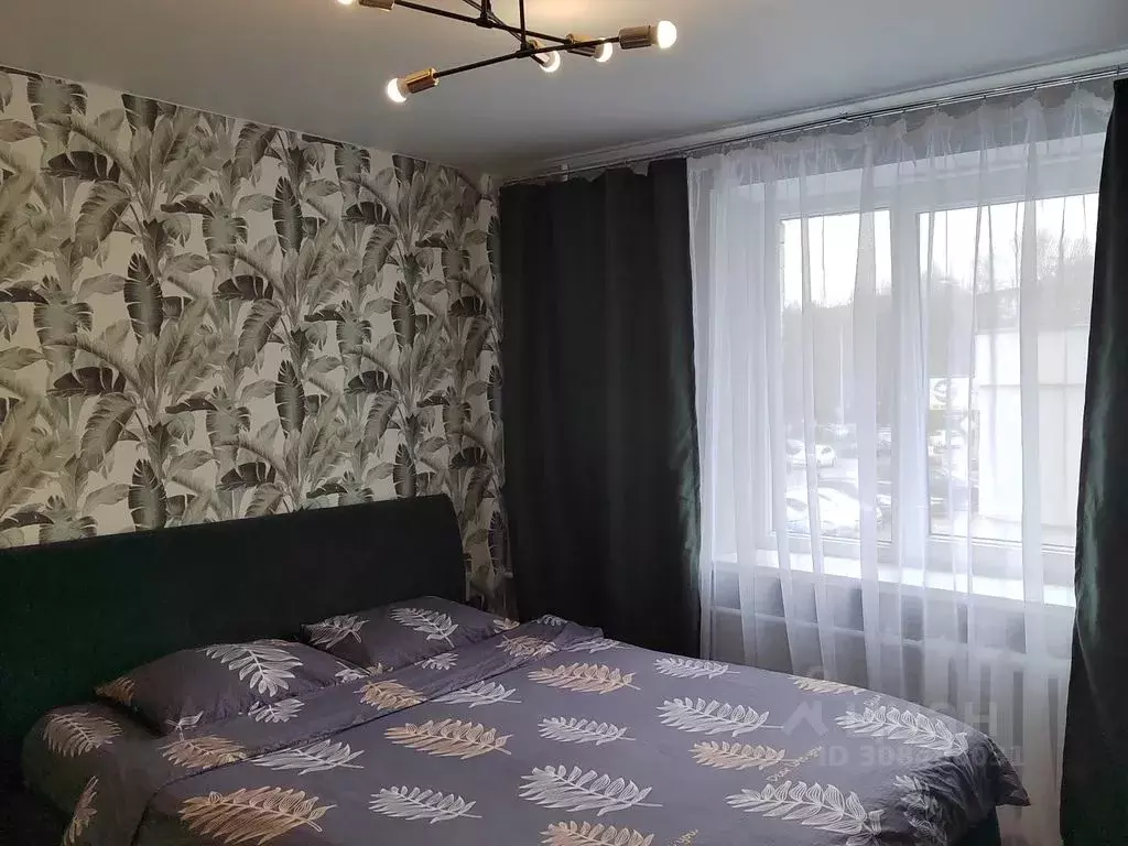 Студия Калининградская область, Калининград ул. Горького, 14 (20.0 м) - Фото 1