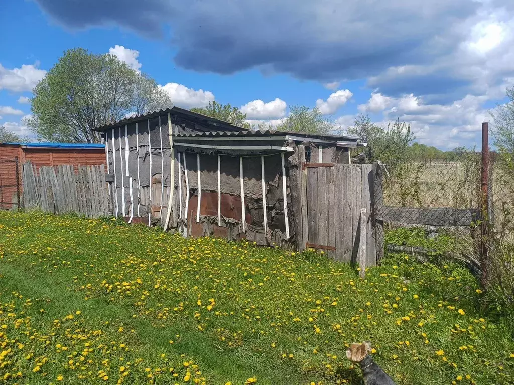 Участок в Московская область, Коломна городской округ, д. Новая  (9.0 ... - Фото 1