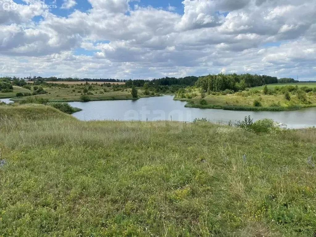 Участок в Липецкий муниципальный округ, село Пады (Ленинский ... - Фото 1