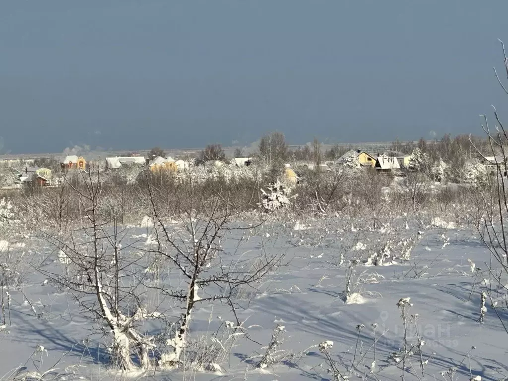 Участок в Нижегородская область, Богородский муниципальный округ, д. ... - Фото 2