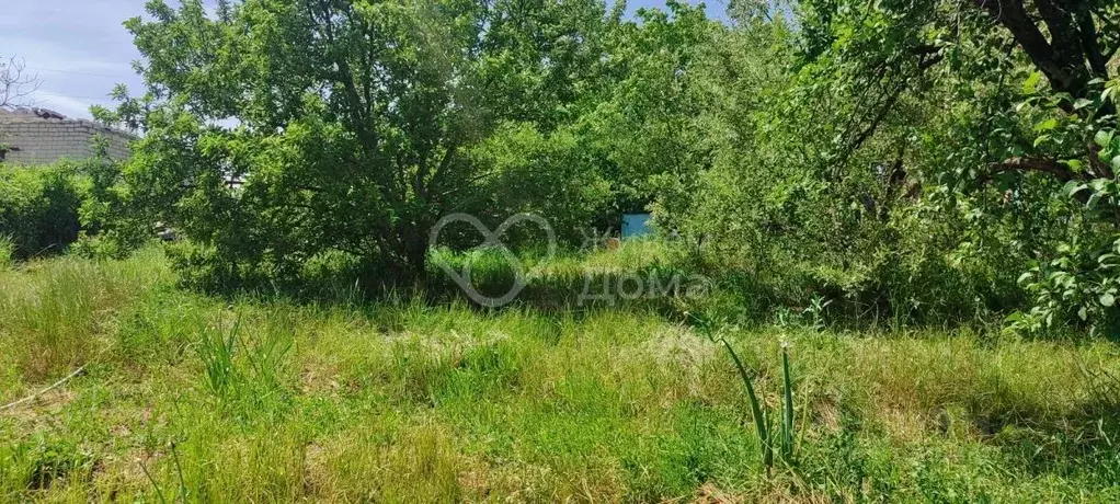 Участок в Волгоградская область, Городищенский район, Ерзовское ... - Фото 0