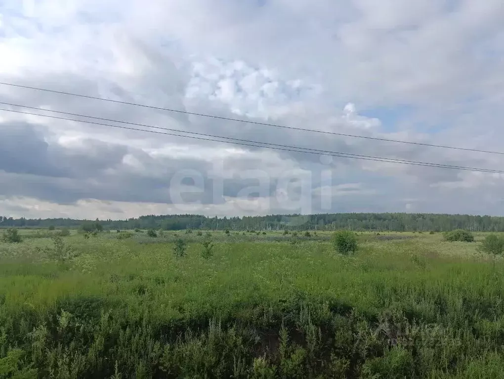 Участок в Владимирская область, Петушинский муниципальный округ, д. ... - Фото 1