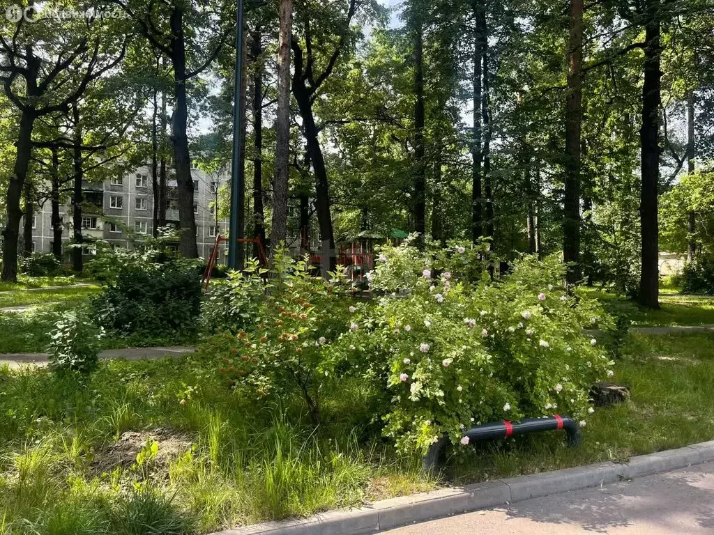 1к в -комнатной квартире (11.3 м) - Фото 0