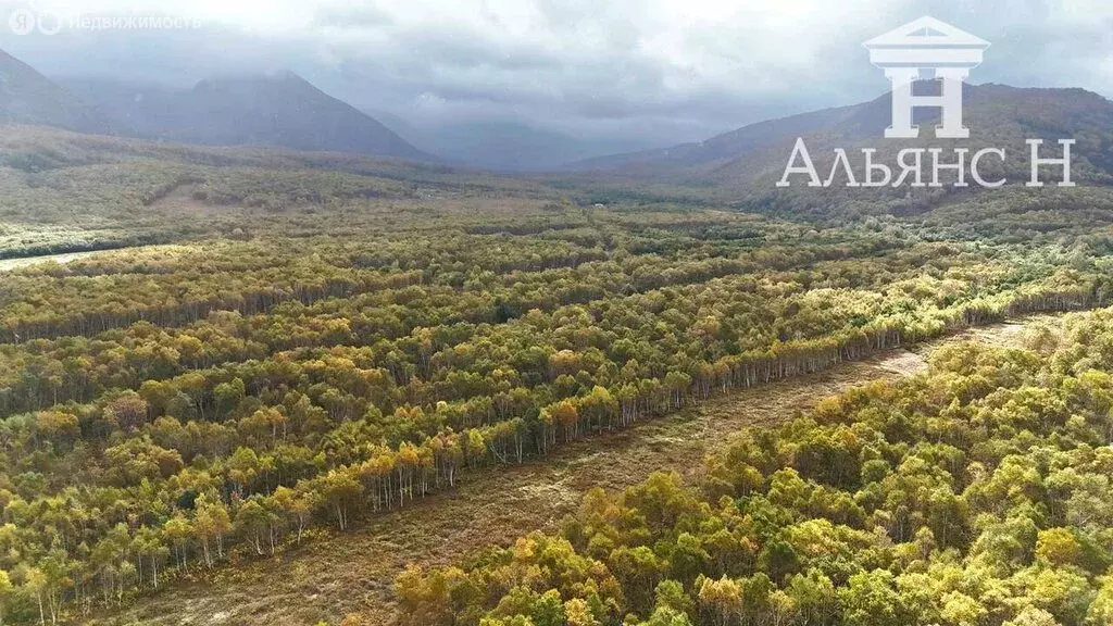 Участок в Камчатский край, Елизовский муниципальный округ, посёлок ... - Фото 1