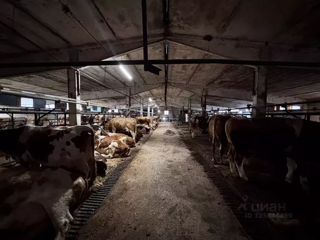 Производственное помещение в Московская область, Наро-Фоминский ... - Фото 2