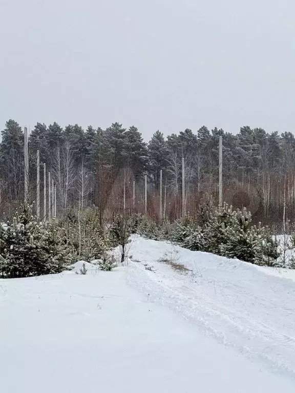 Участок 6 сот. (СНТ, ДНП) - Фото 0