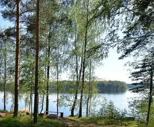 Участок в Тверская область, Осташковский муниципальный округ, д. Гуща  ... - Фото 1