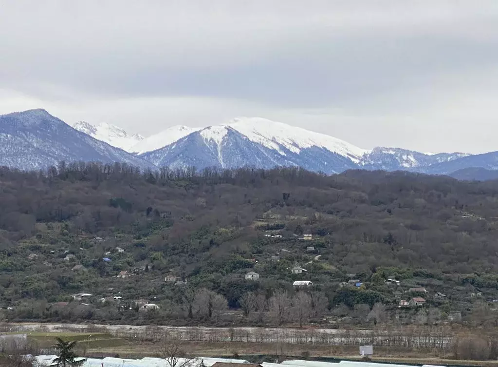 Участок в Краснодарский край, Сочи городской округ, с. Нижняя Шиловка ... - Фото 0