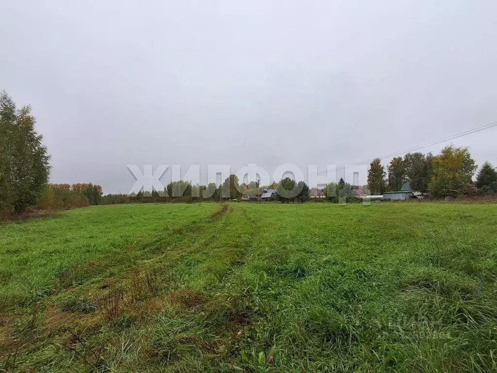 Участок в Новосибирская область, Новосибирский район, Станционный ... - Фото 1