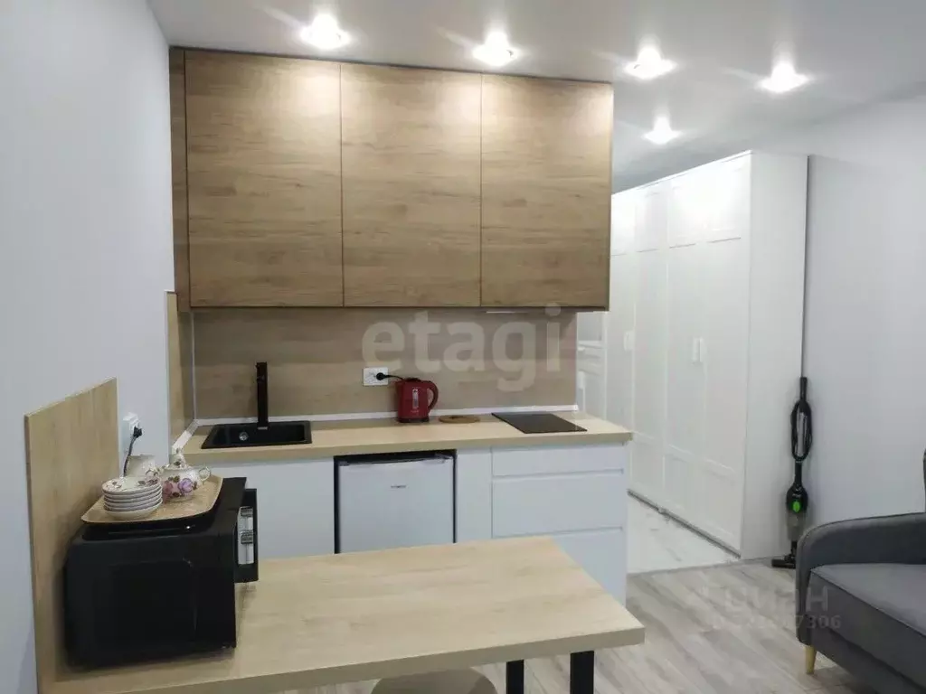 Студия Свердловская область, Екатеринбург ул. Отрадная, 1 (21.5 м) - Фото 1