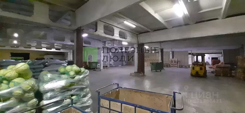Помещение свободного назначения в Курганская область, Курган Омская ... - Фото 2