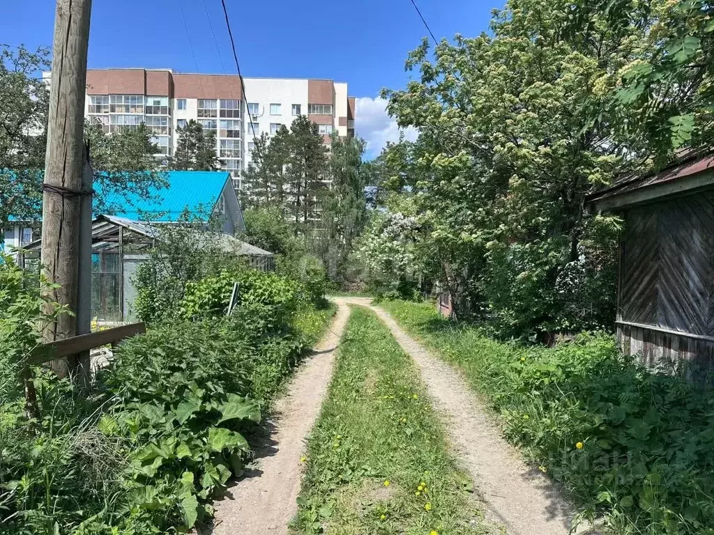 Дом в Свердловская область, Екатеринбург Строитель-1 СТ,  (50 м) - Фото 2