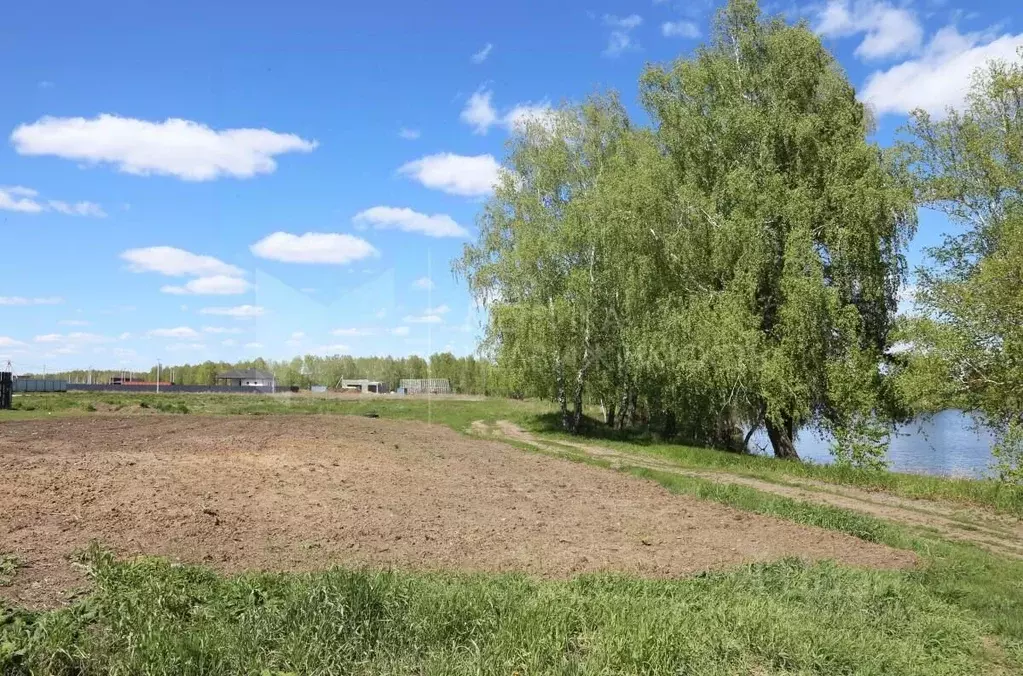 Участок в Тюменская область, Тюменский район, д. Малиновка, Малиновка ... - Фото 0