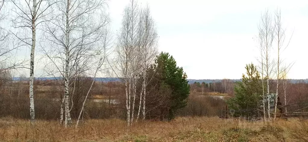 Участок в Нижегородская область, Лысковский район, с. Сельская Маза  ... - Фото 1