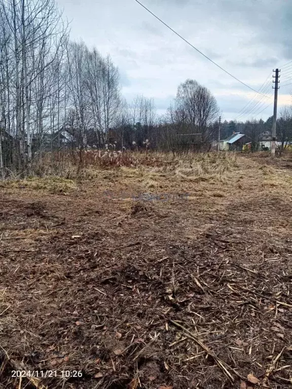 Участок в Нижегородская область, Семеновский муниципальный округ, д. ... - Фото 0
