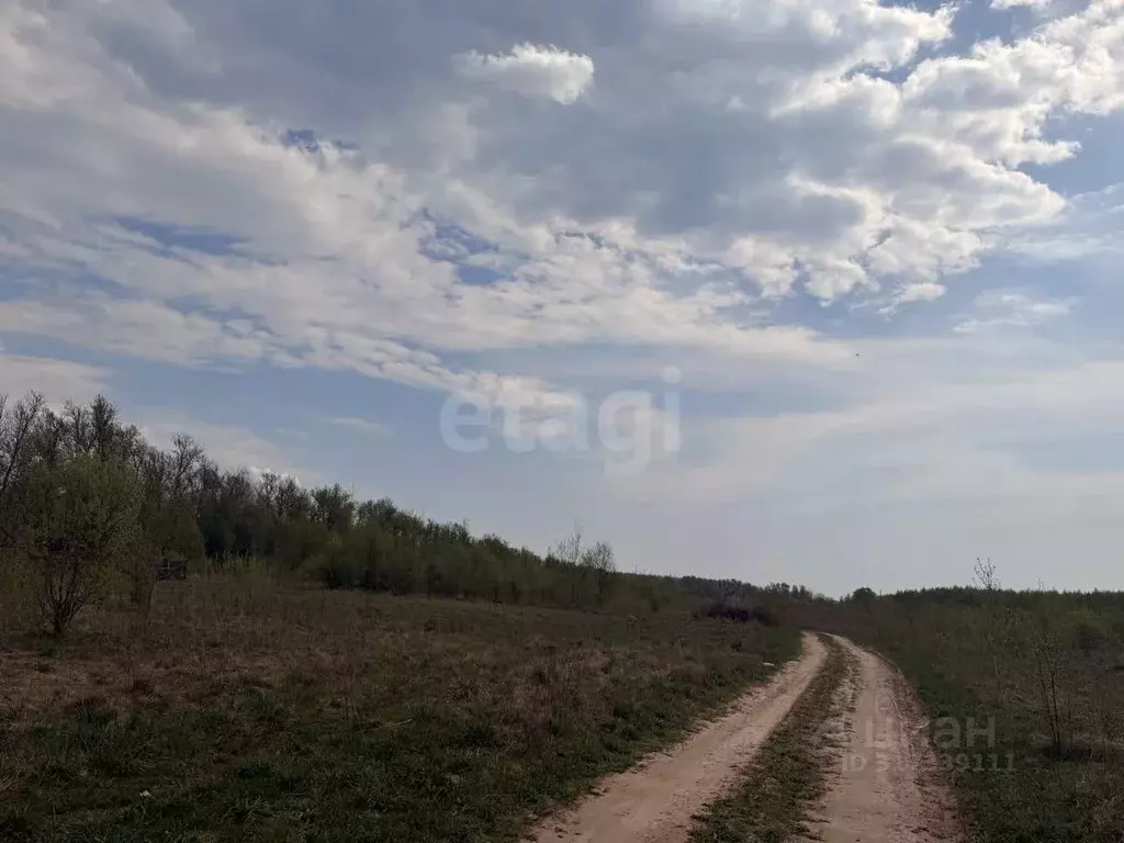 Участок в Смоленская область, Смоленск Славутич СНТ, 1502 (12.0 сот.) - Фото 1