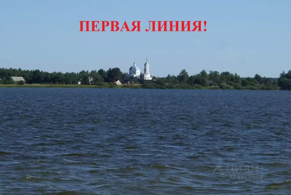 Участок в Тверская область, Пеновский муниципальный округ, д. Торг  ... - Фото 0