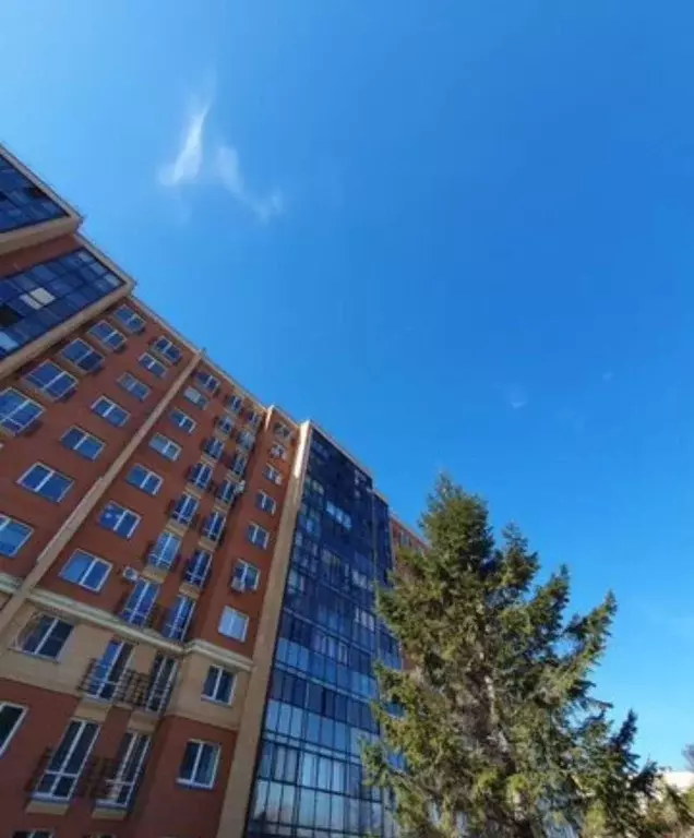 Студия Новосибирская область, Новосибирск Кубовая ул., 96/4 (33.7 м) - Фото 1