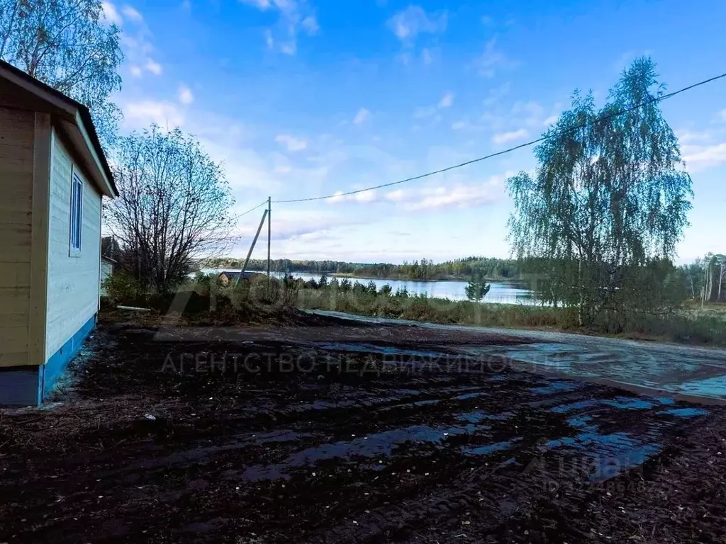 Участок в Ленинградская область, Приозерский район, Севастьяновское ... - Фото 2