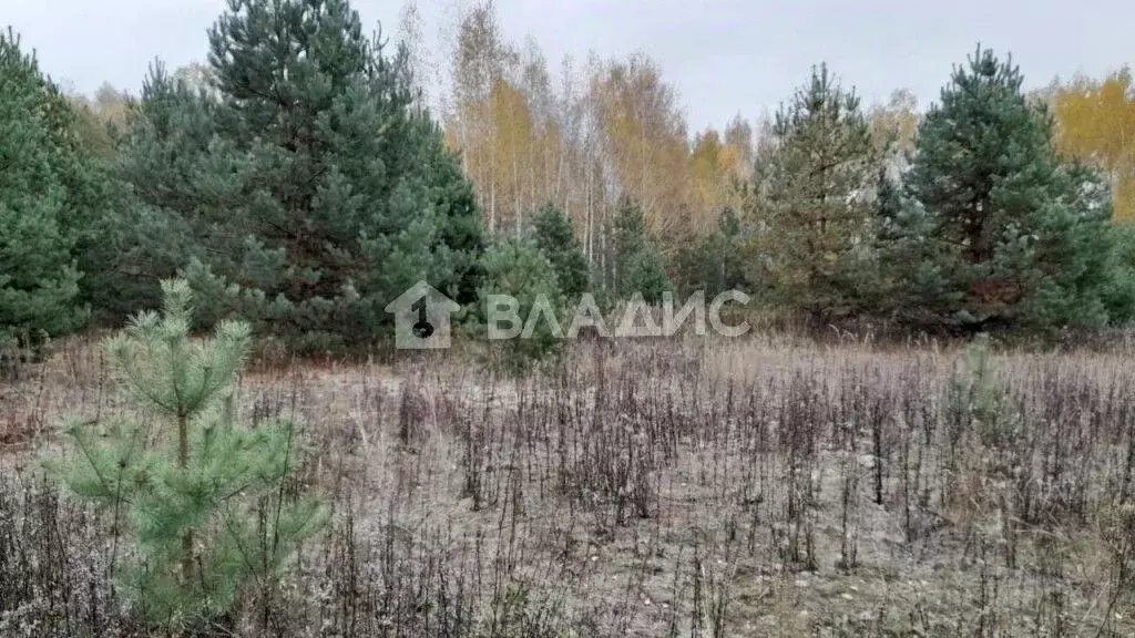 Участок в Нижегородская область, Павловский район, д. Щепачиха 46А ... - Фото 1