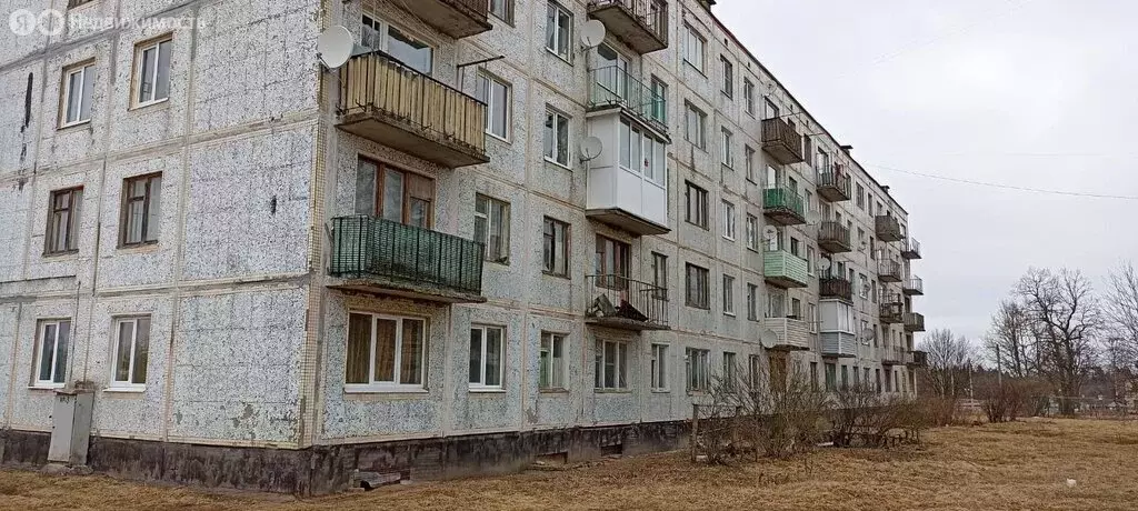 1-комнатная квартира: деревня Новоселье, 3 (31.6 м) - Фото 0