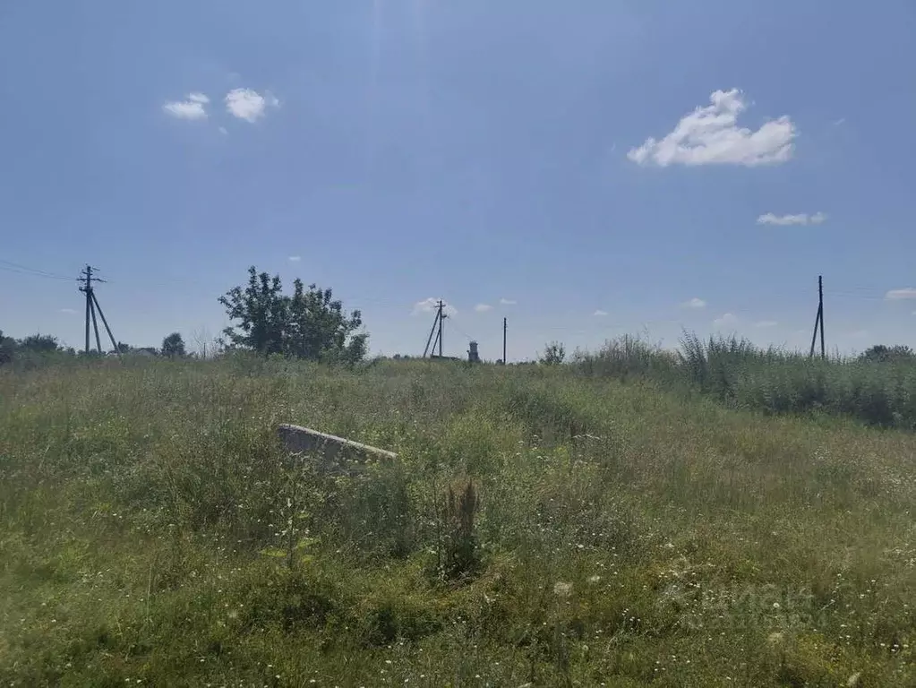 Участок в Алтайский край, Калманский район, с. Калманка ... - Фото 2