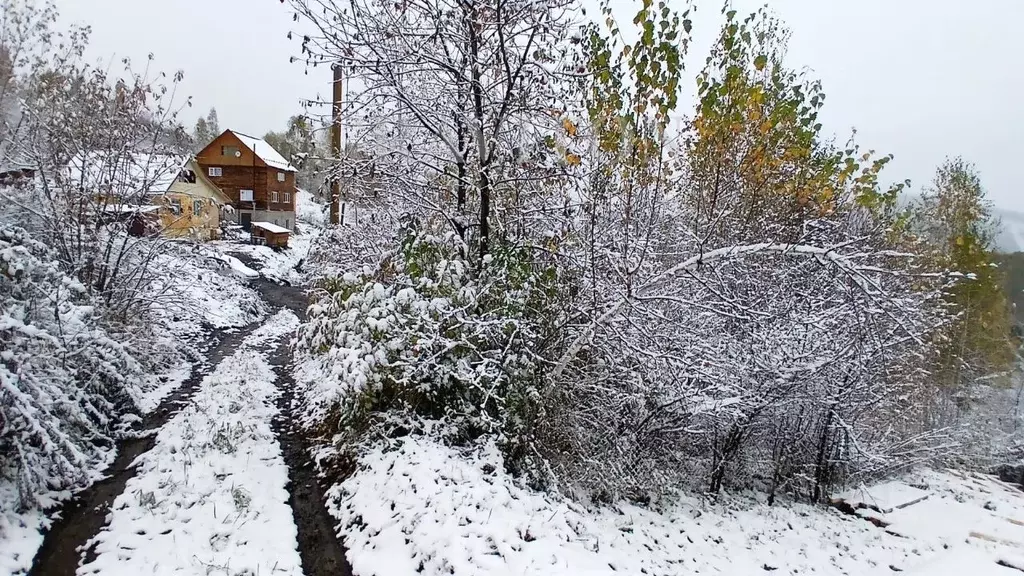 Участок в Алтай, Горно-Алтайск пл. Ленина (10.0 сот.) - Фото 1