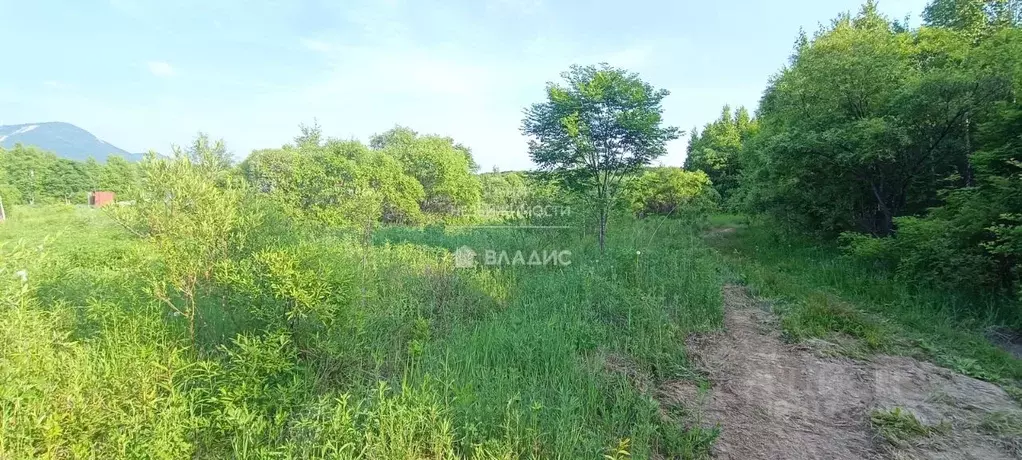Участок в Приморский край, Арсеньев Тихоокеанская ул., 45 (12.0 сот.) - Фото 1