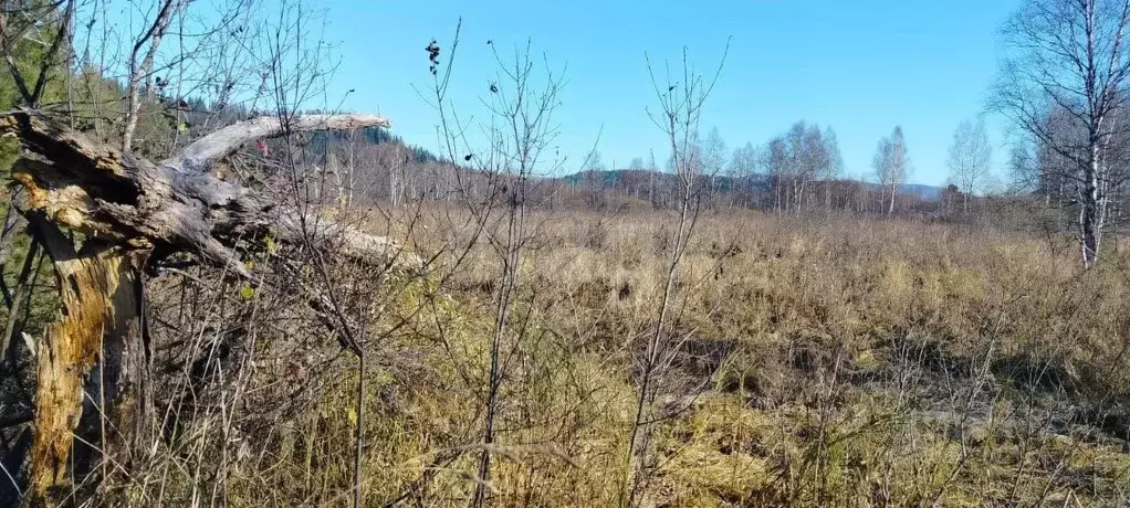Участок в Кемеровская область, Междуреченский муниципальный округ, ... - Фото 2