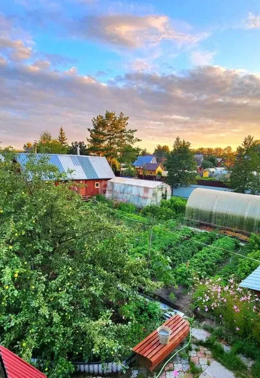 Дом в Тюменская область, Тюмень Пчелка СНТ, ул. Лесная (64 м) - Фото 1