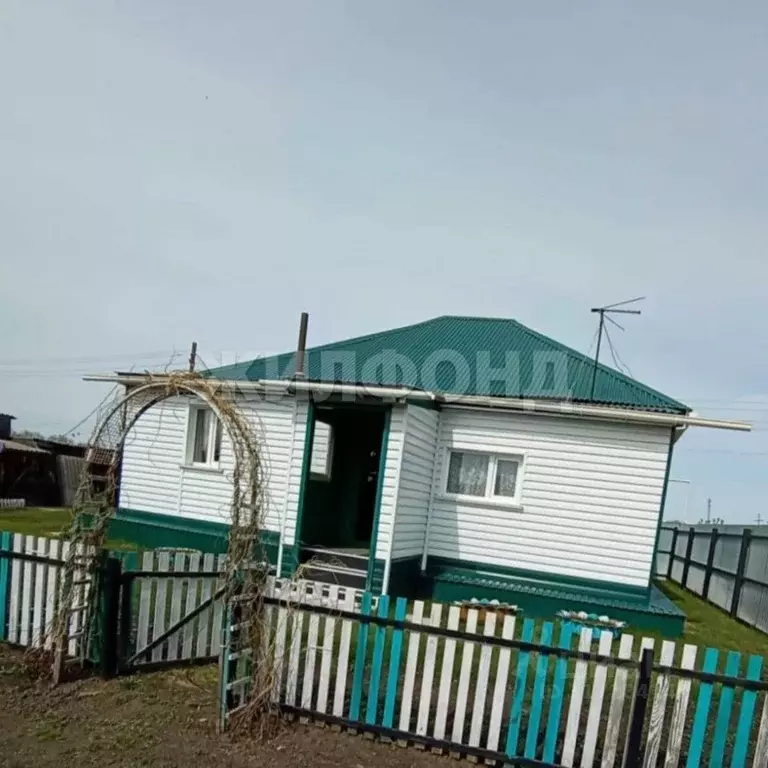 Дом в Новосибирская область, Болотнинский район, пос. Дивинка ... - Фото 1