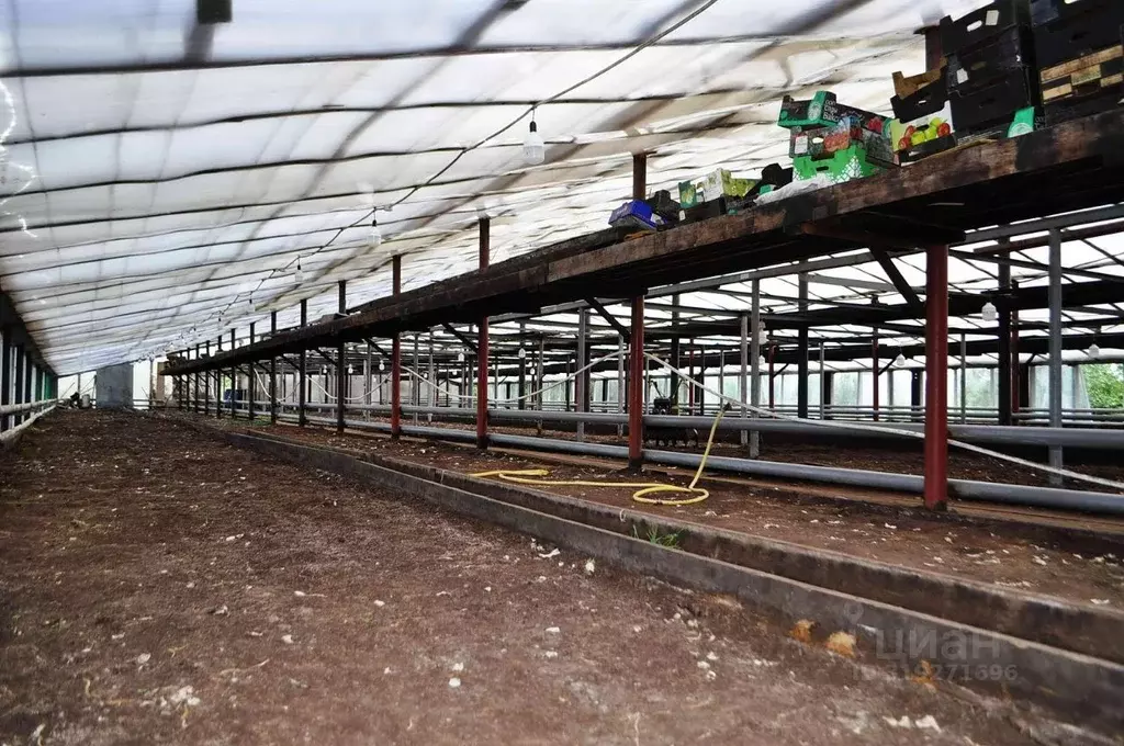 Производственное помещение в Пермский край, Пермский район, с. Кояново ... - Фото 1