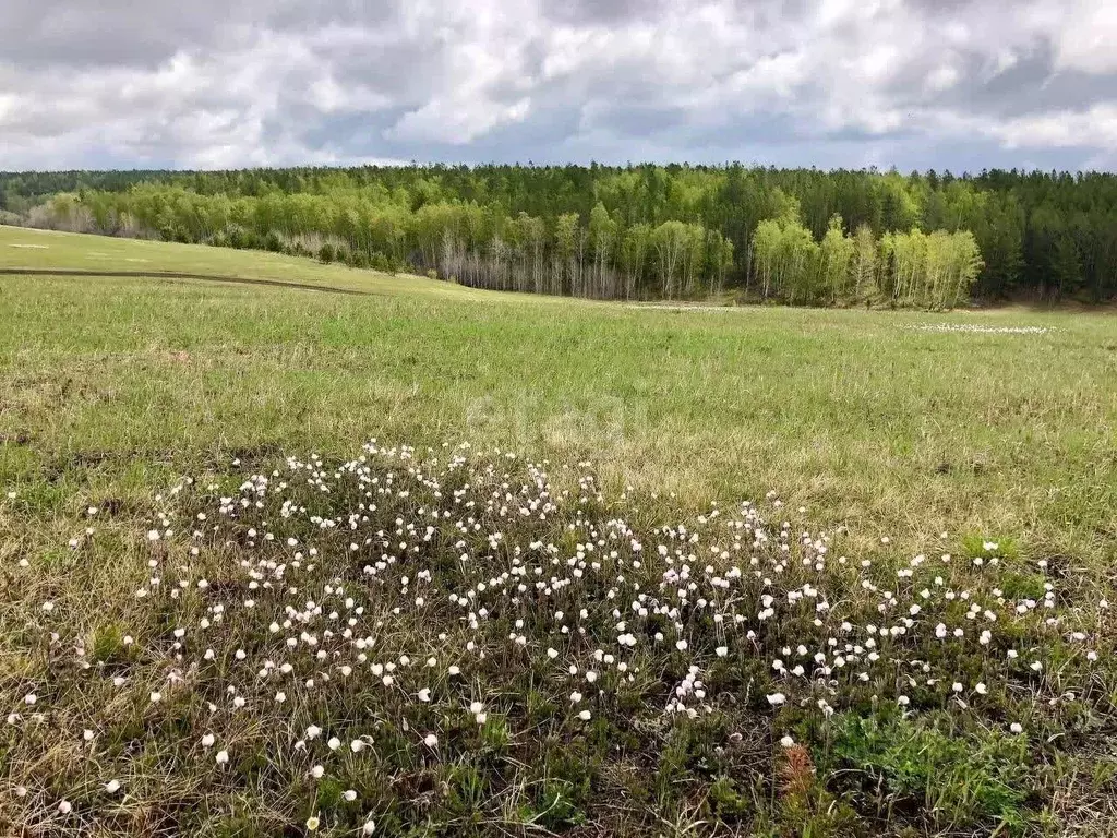 Участок в Иркутская область, Иркутский муниципальный округ, д. ... - Фото 0