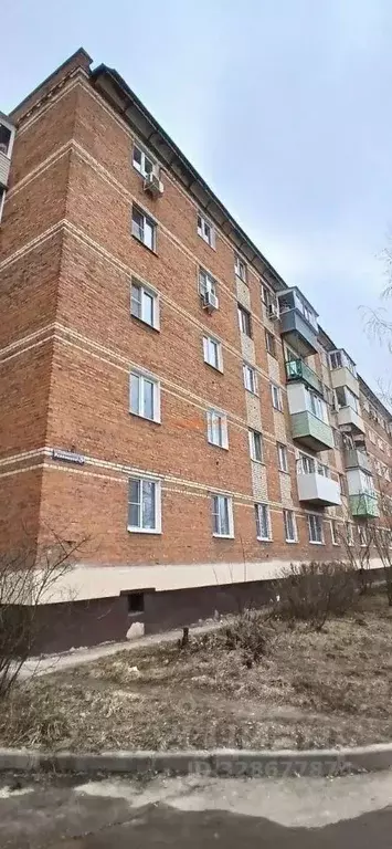 1-к кв. Тульская область, Алексин ул. Революции, 3 (30.7 м) - Фото 1