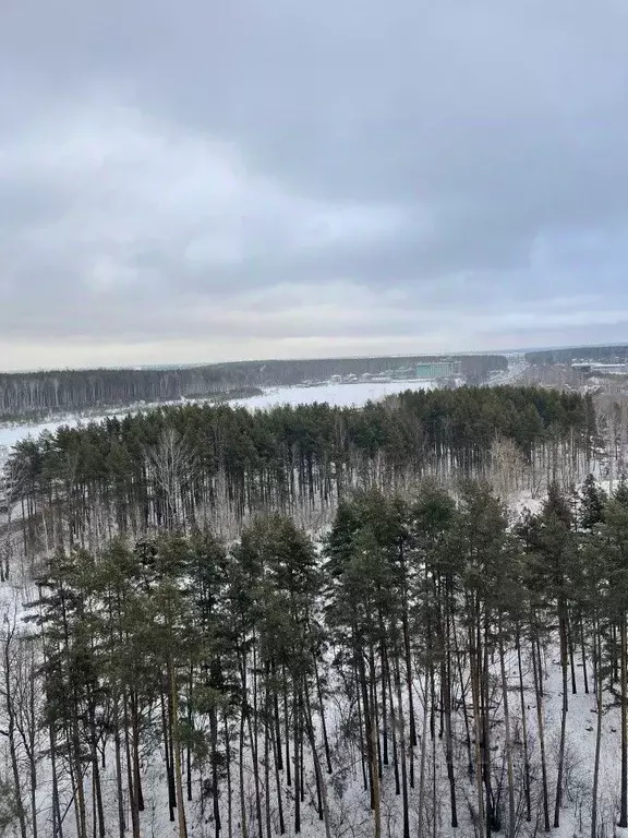 Свободной планировки кв. Свердловская область, Екатеринбург Уктус ... - Фото 1