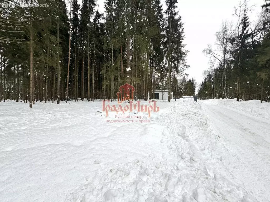 Участок в Московская область, Дмитровский муниципальный округ, деревня ... - Фото 1