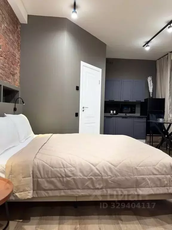 1-к кв. Санкт-Петербург Спасский пер., 9/24 (30.0 м) - Фото 2