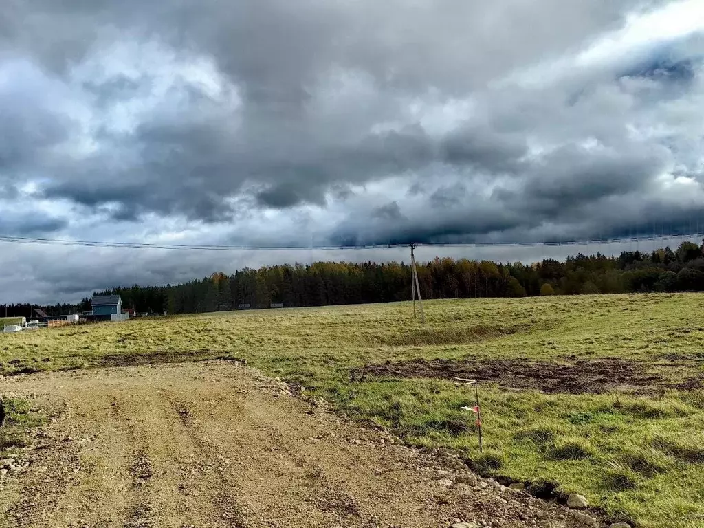 Участок в Ленинградская область, Ломоносовский район, Лопухинское ... - Фото 0