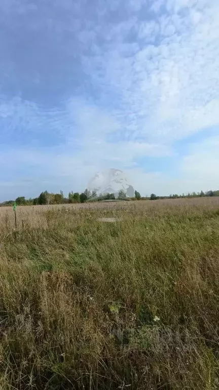 Участок в Новгородская область, Новгородский район, Савинское с/пос, ... - Фото 1