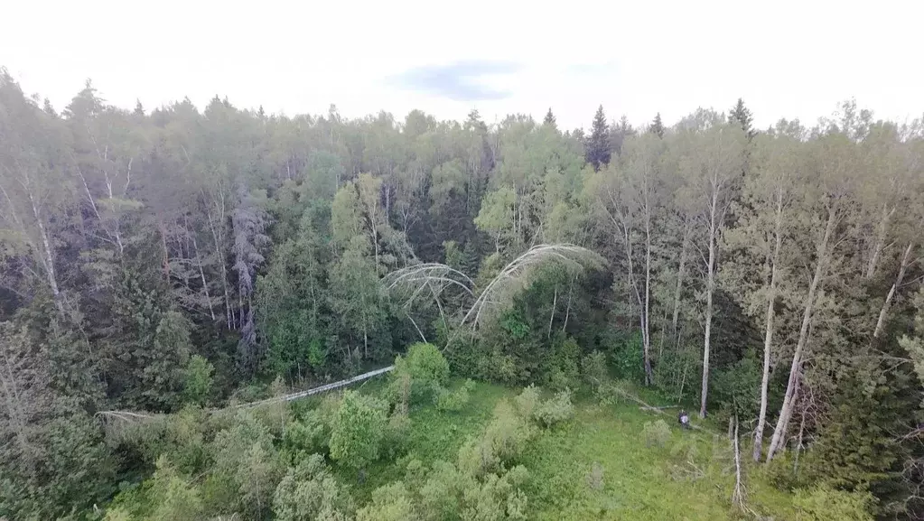 Участок в Московская область, Клин городской округ, д. Минино  (710.0 ... - Фото 2