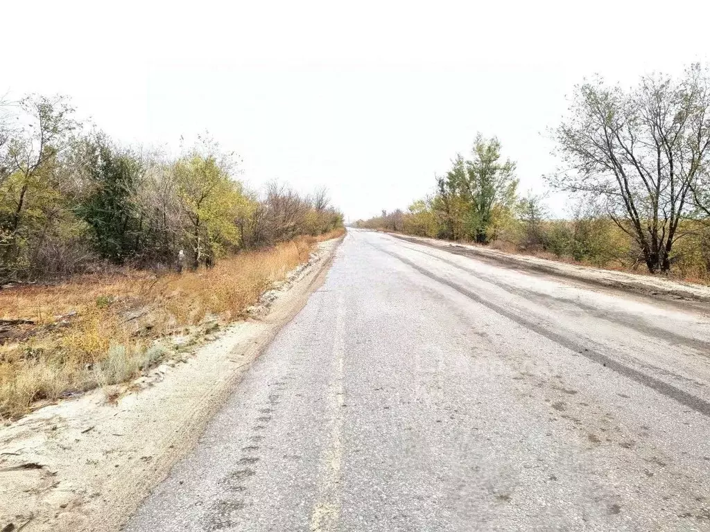 Участок в Волгоградская область, Городищенский район, Орловское с/пос, ... - Фото 0