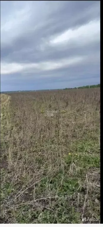 Участок в Липецкая область, Липецкий муниципальный округ, с. Ленино  ... - Фото 2