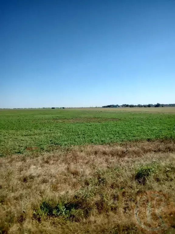 Участок в Крым, Сакский район, с. Уютное бул. Морской (60.0 сот.) - Фото 1