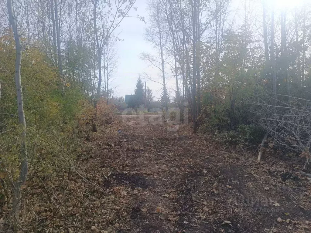 Участок в Башкортостан, Стерлитамакский район, Октябрьский сельсовет, ... - Фото 2